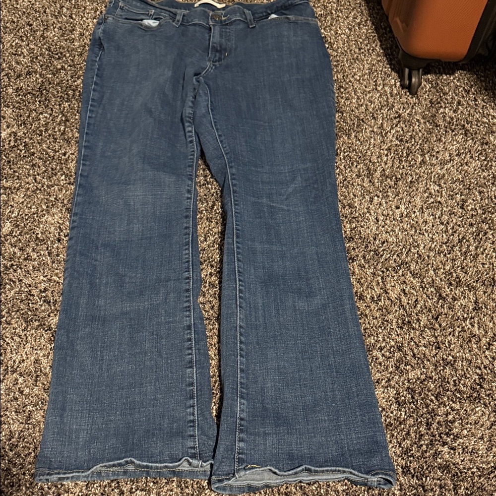 Stylish Indigo Flare Jeans for Women